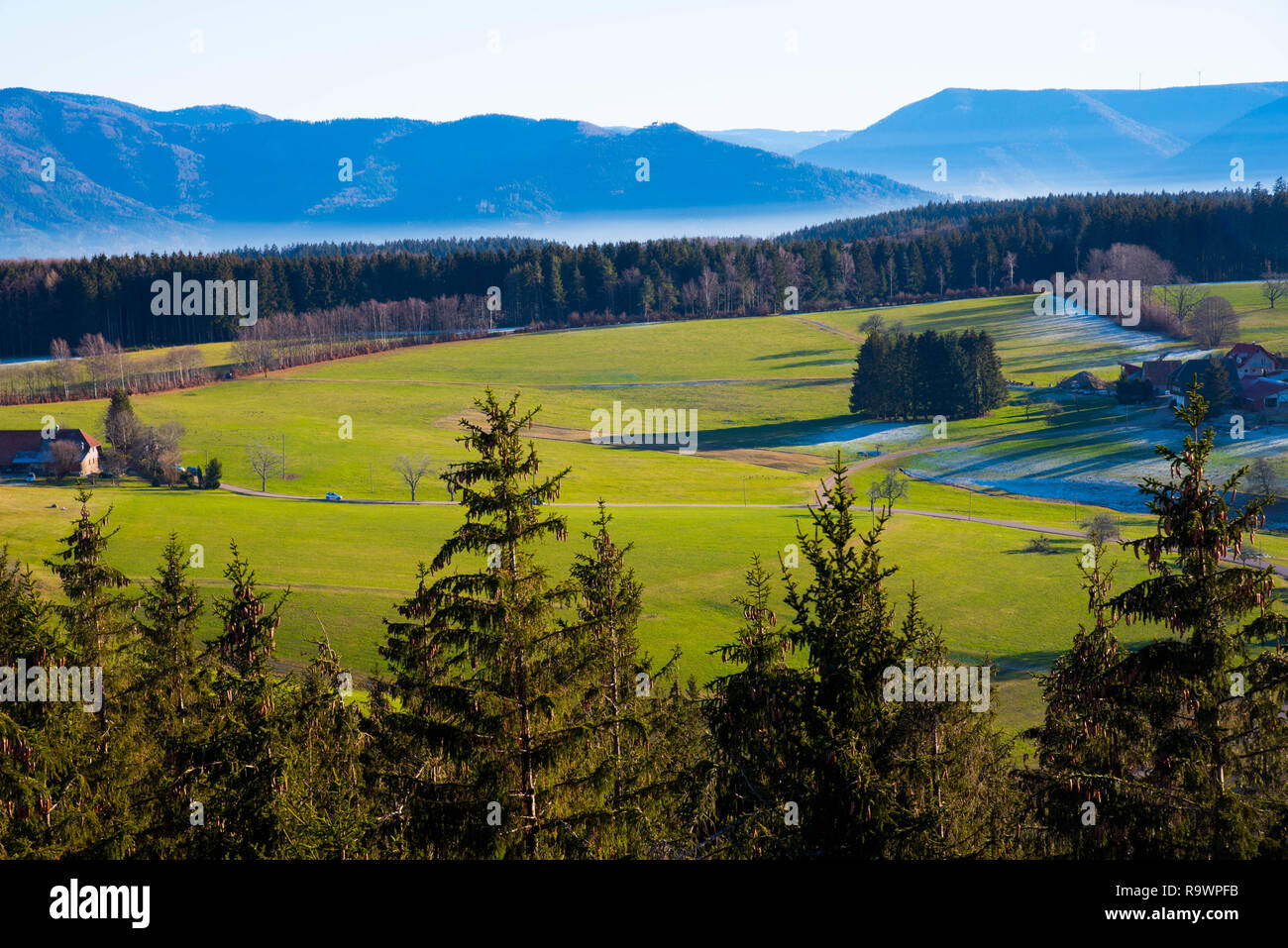 Beautiful black forest near freiamt , view from the tower hünersedel