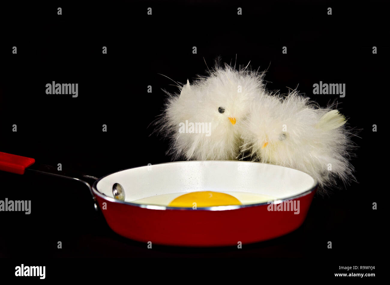 Fluffy chick egg hires stock photography and images Alamy