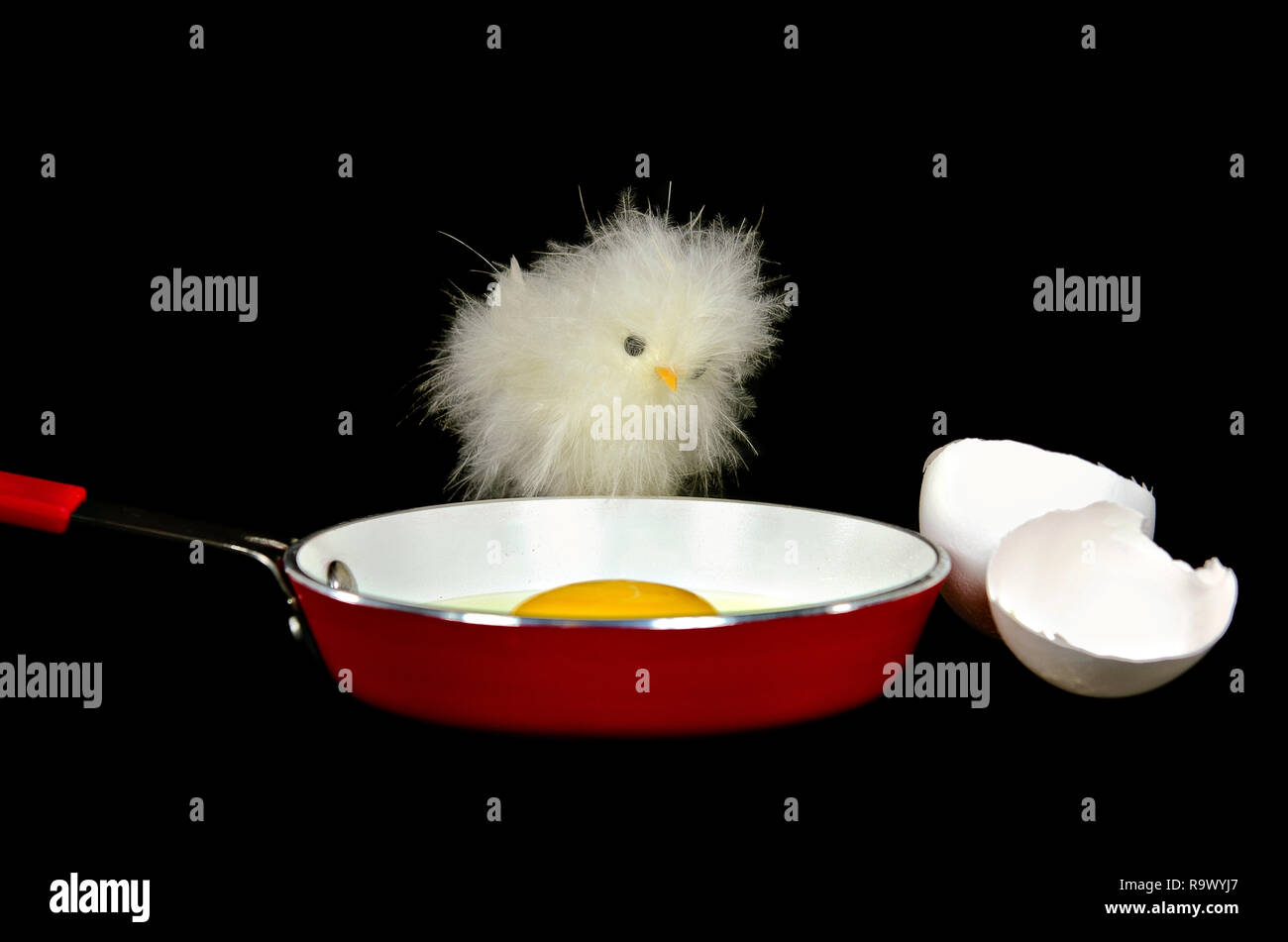 Fluffy chick egg hires stock photography and images Alamy