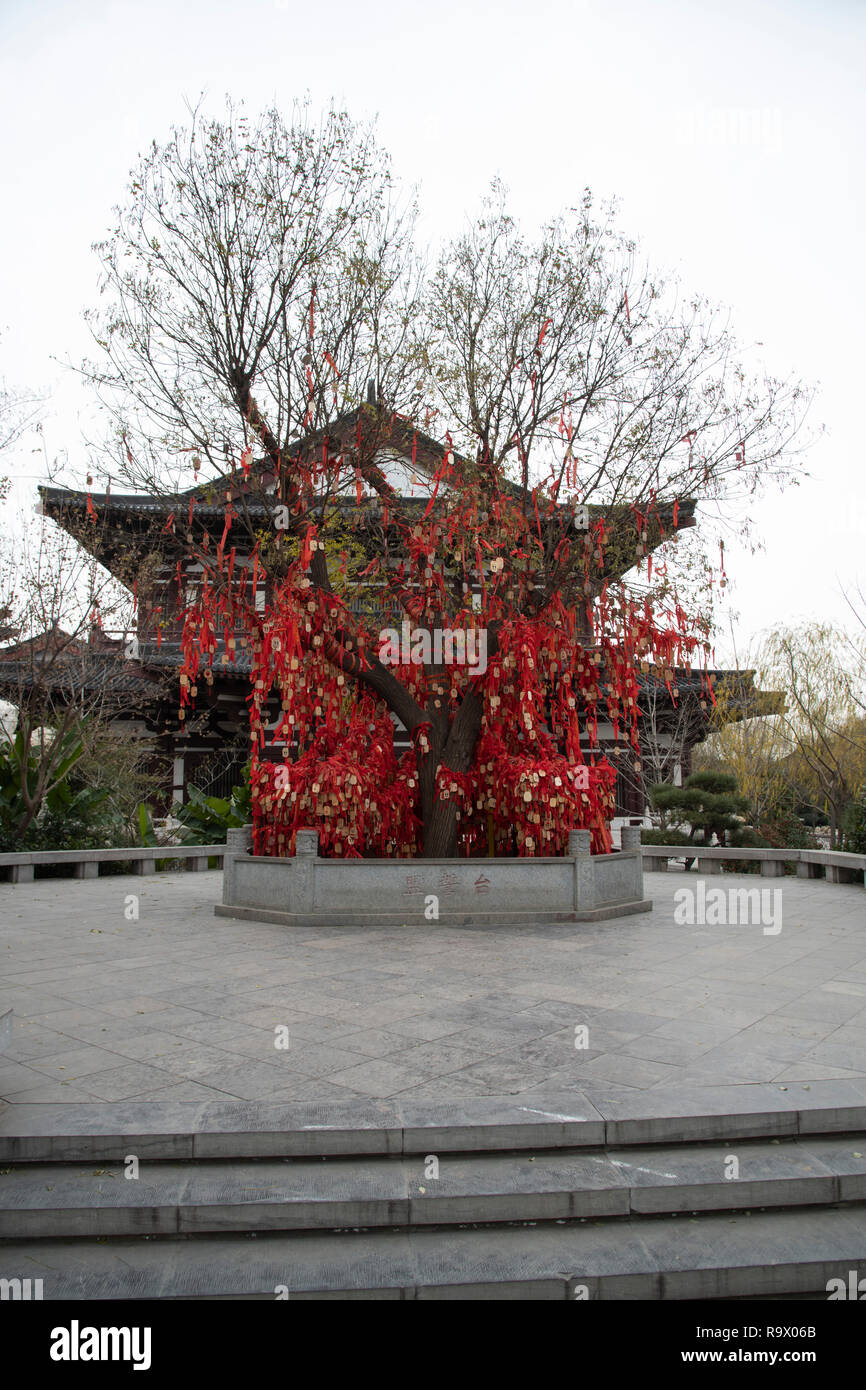 HUAQING,XIÂ´AN,,SHAANXI,CHINA-DECEMBER 7 2018 : The tree of eternal love  promises in China: people make wooden plates with the names and put it on  the Stock Photo - Alamy