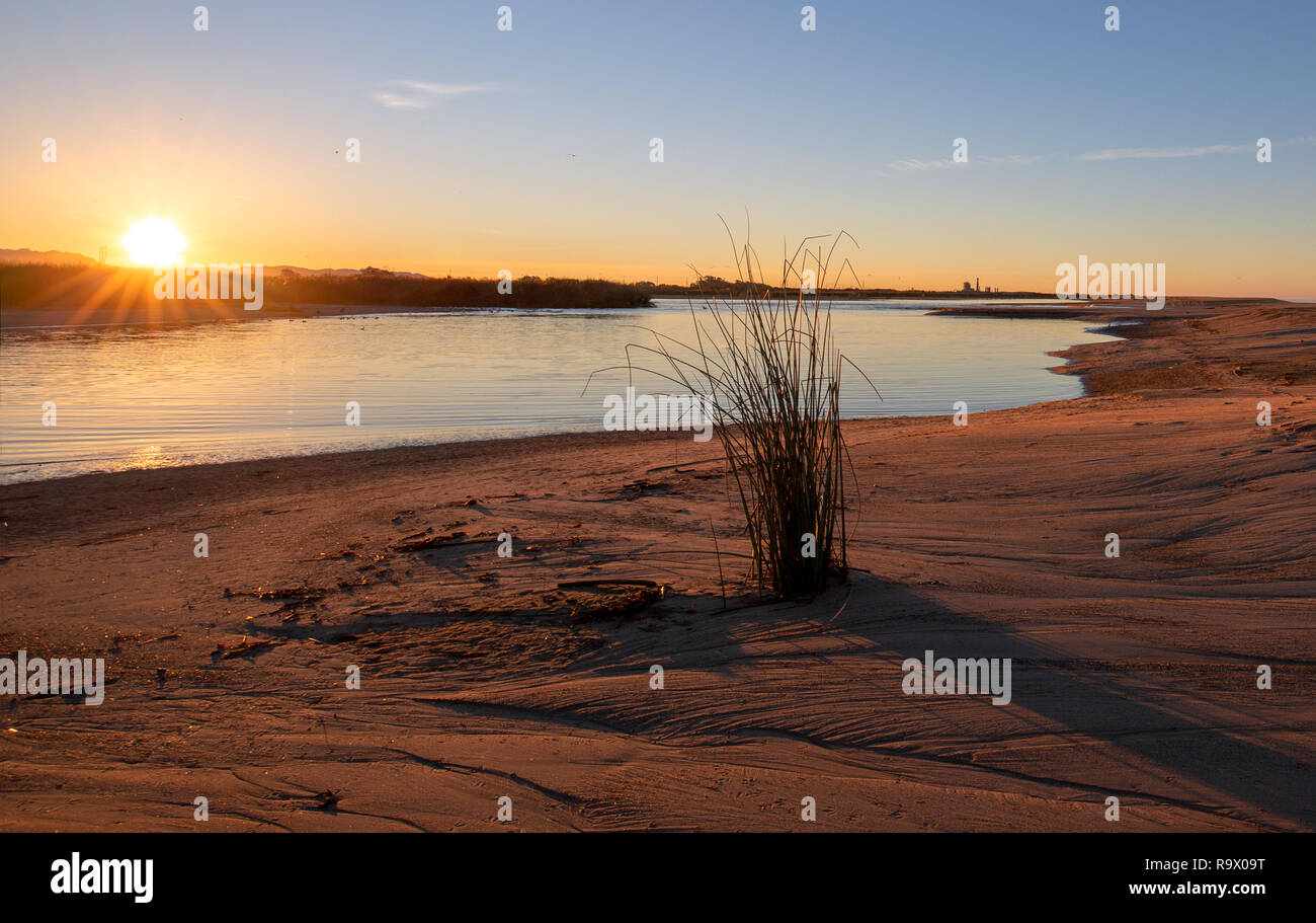 Sunrays and reeds at sunrise reflecting in the Santa Clara river marsh