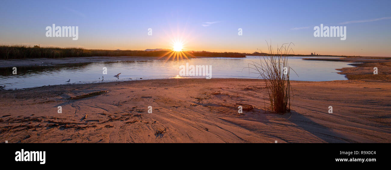Sunrays and reeds at sunrise reflecting in the Santa Clara river marsh
