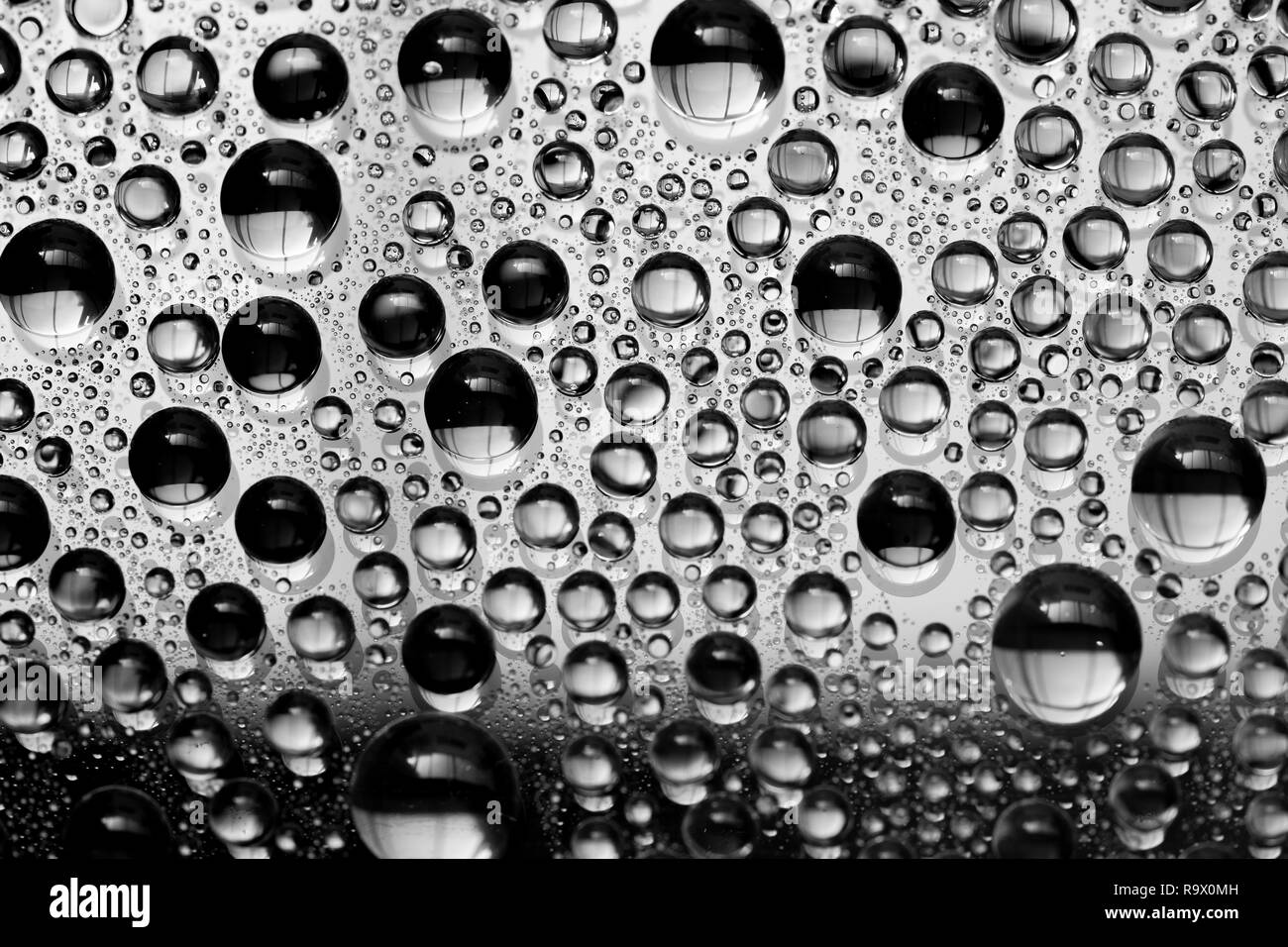 Black and white water drops background close up Stock Photo - Alamy