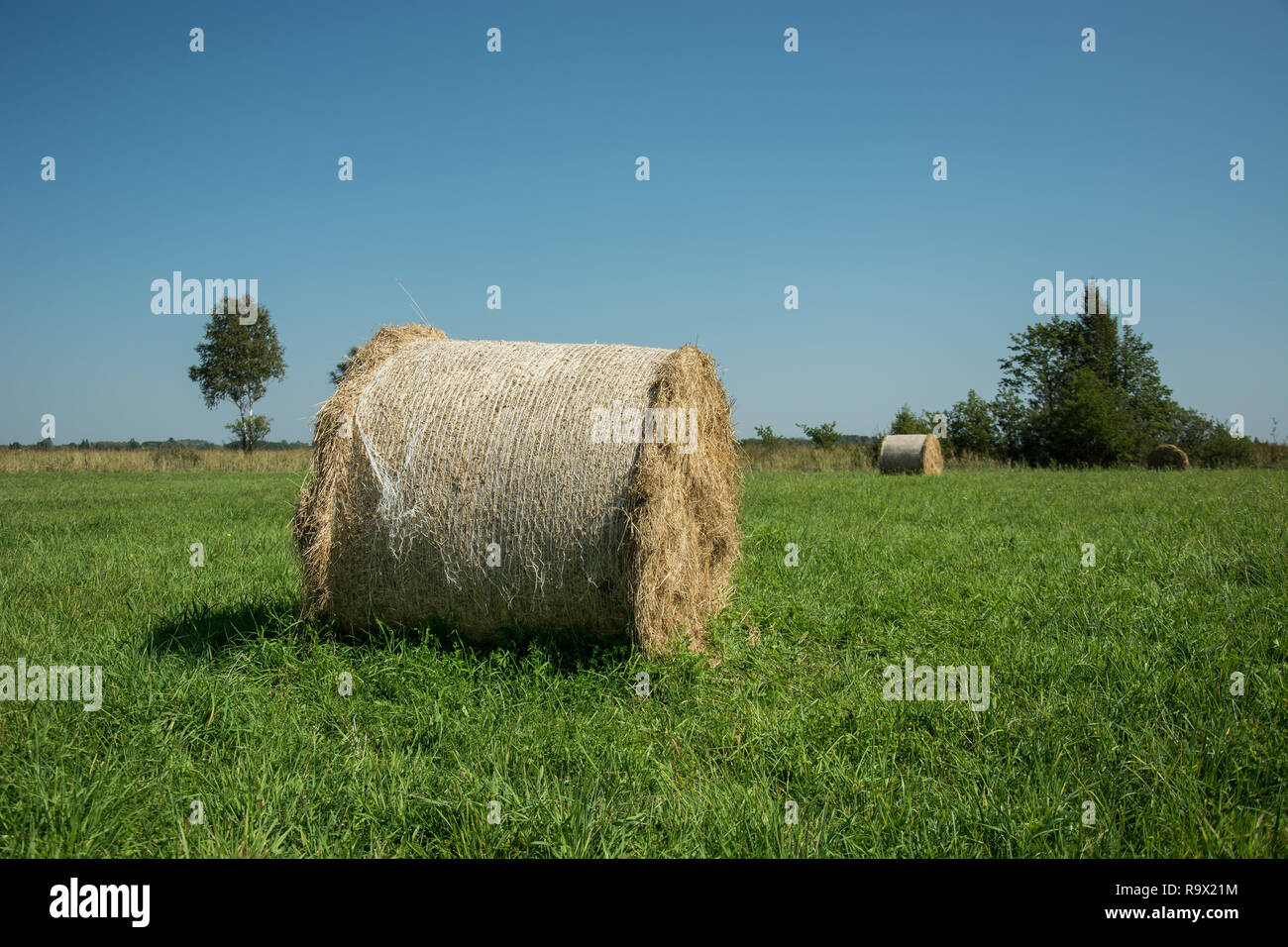 Hay bale lying on a green meadow, horizon and blue sky Stock Photo - Alamy