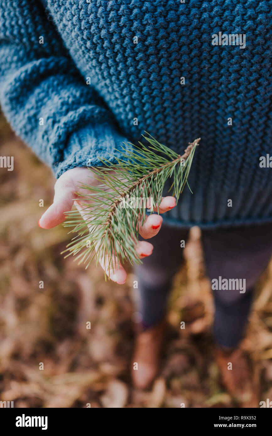 Woman holding pine tree branch Stock Photo