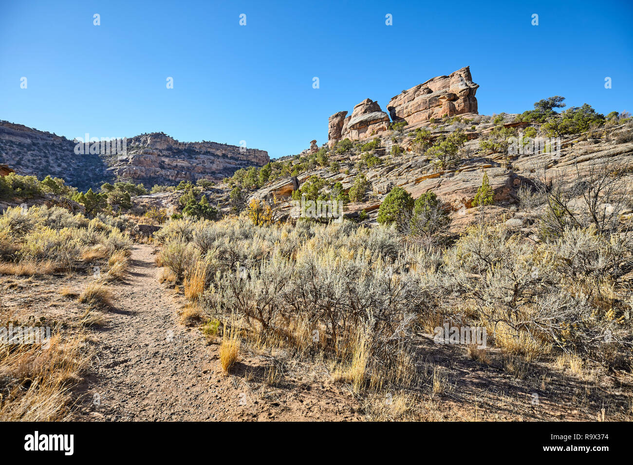 Trail in the Colorado National Monument Park, Colorado, USA. Stock Photo