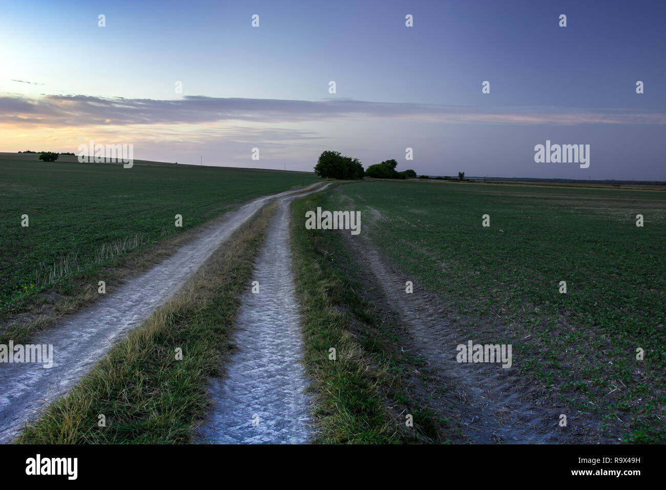 A long, dirt road through green fields - an evening view Stock Photo