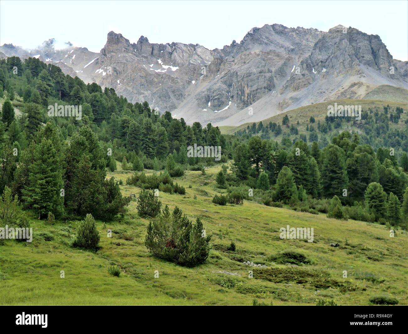 Impressive mountain range, pine forest and alpine meadow near Scuol in the Lower Engadine, Switzerland Stock Photo