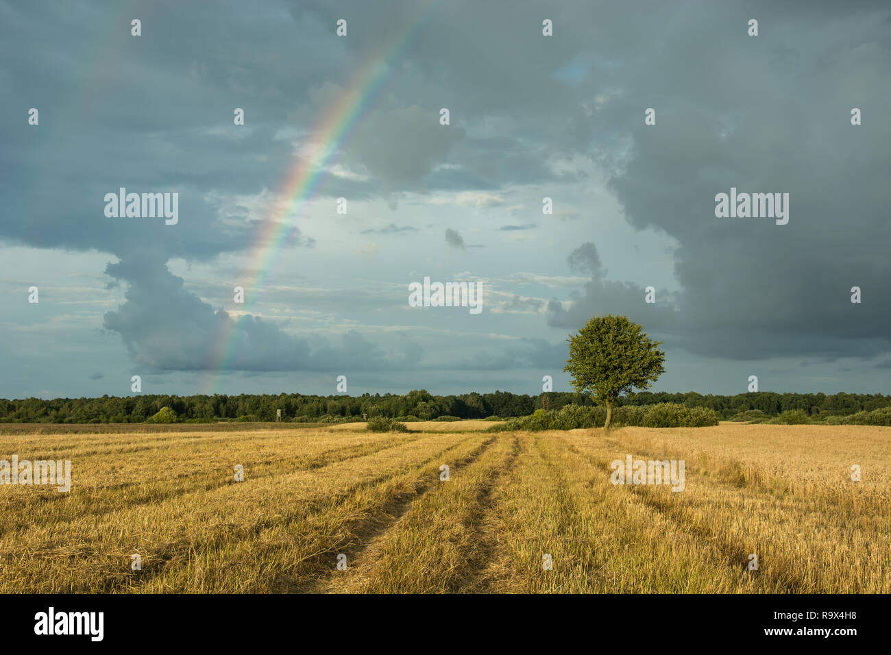 Rainbow on a dark sky hi-res stock photography and images - Alamy