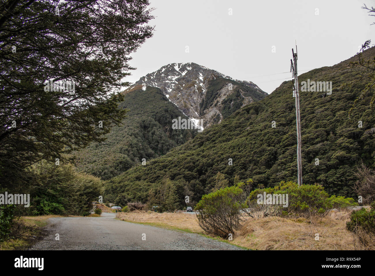 Arthur's Pass National Park, Canterbury, South Island, New Zealand