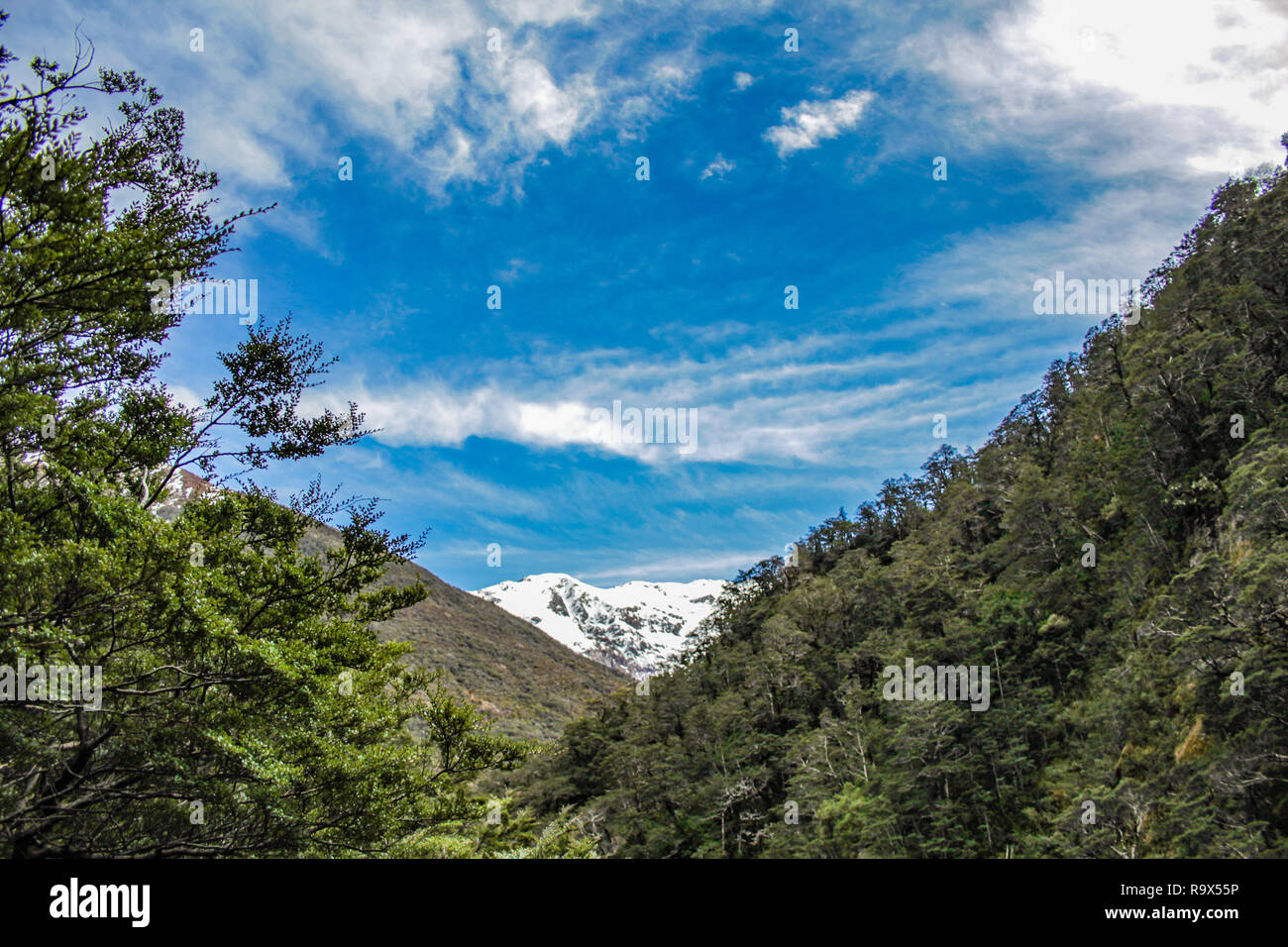 Arthur's Pass National Park, Canterbury, South Island, New Zealand