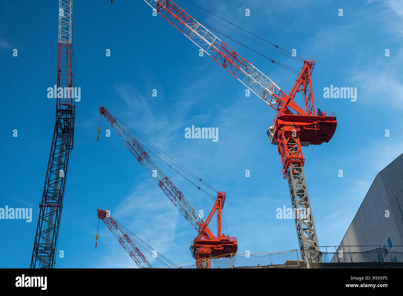 On a construction site there are several lifting cranes. Stock Photo