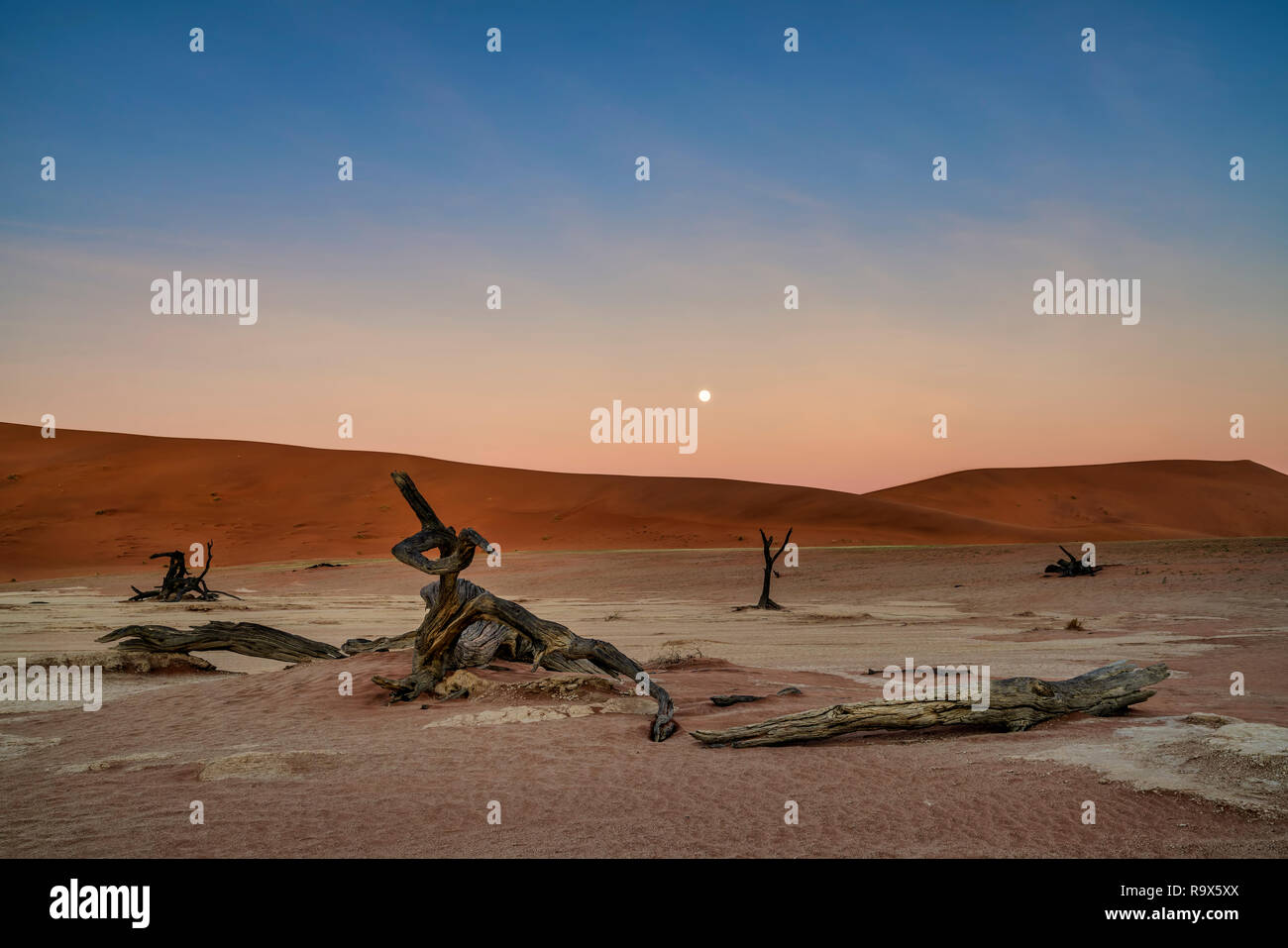 Deadvlei dawn hi-res stock photography and images - Alamy