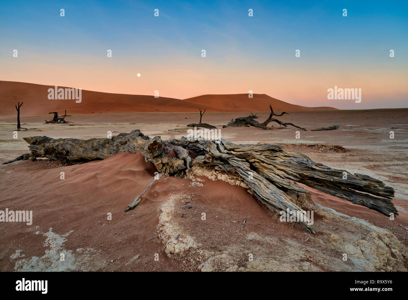 Deadvlei dawn hi-res stock photography and images - Alamy
