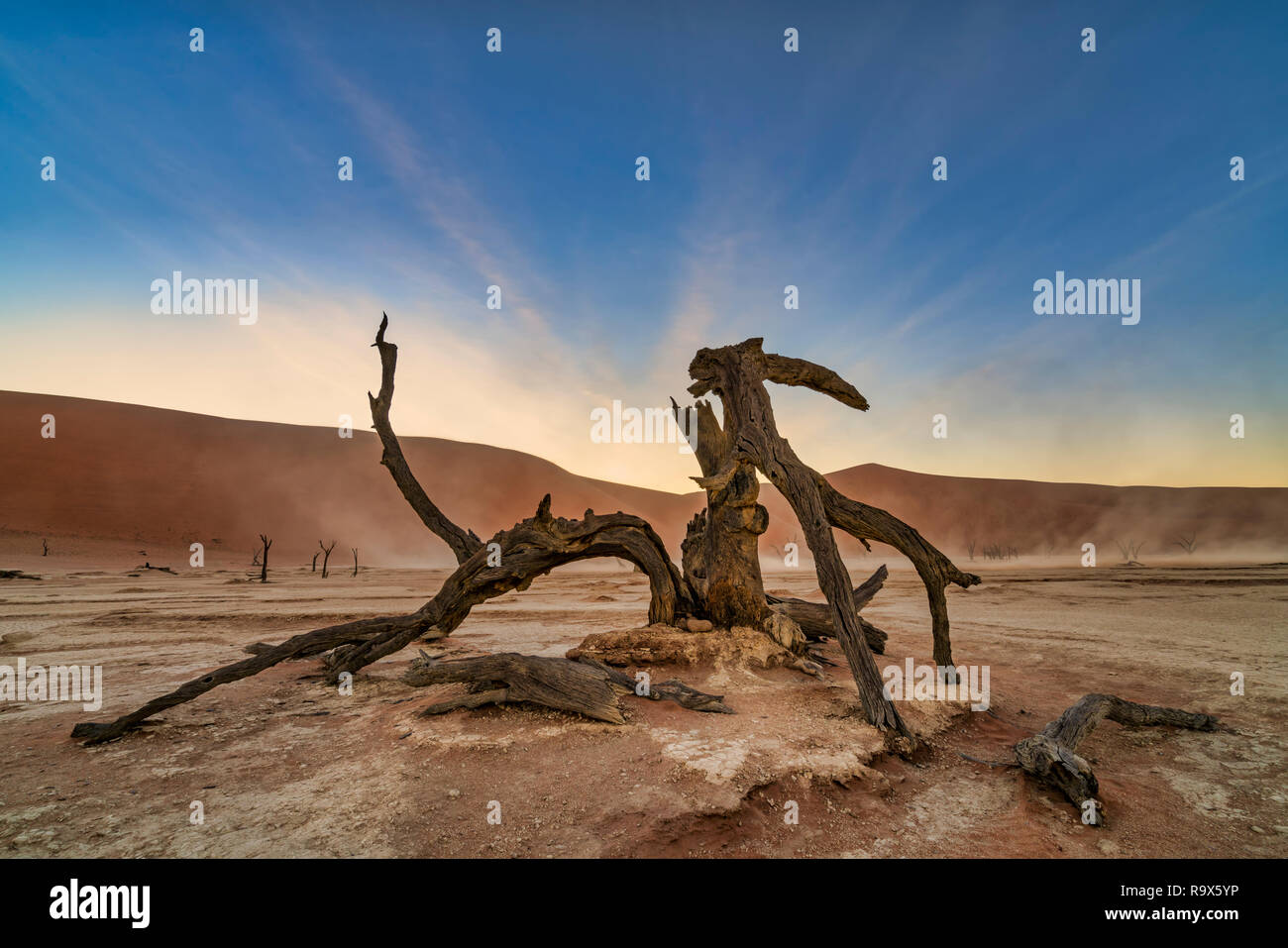 Deadvlei dawn hi-res stock photography and images - Alamy