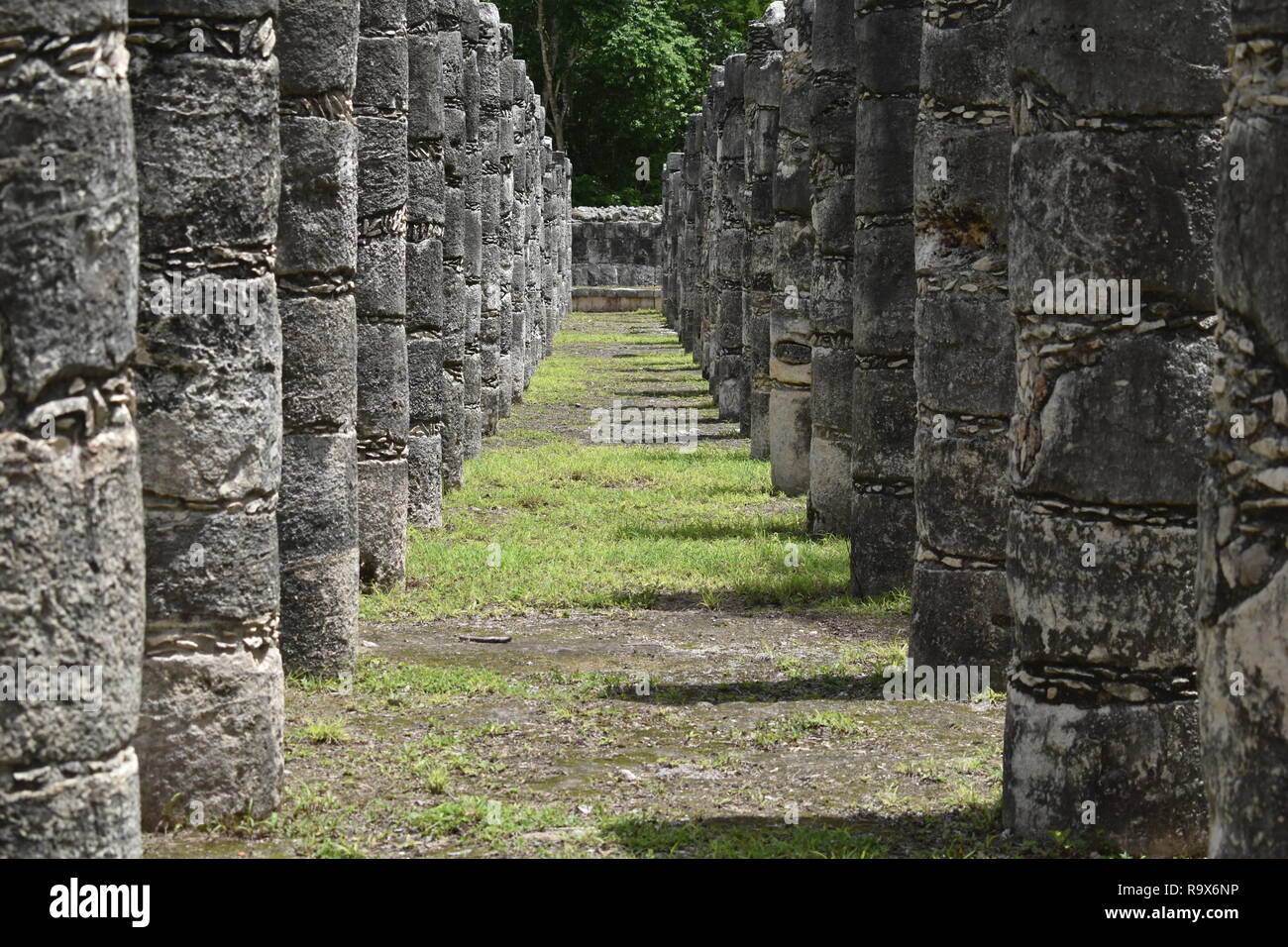 Chichen Itza, Columns in the Temple of a Thousand Warriors, path, symmetrical, landscape, stone columns, pretty, pillars with carvings, Puuc style arc Stock Photo