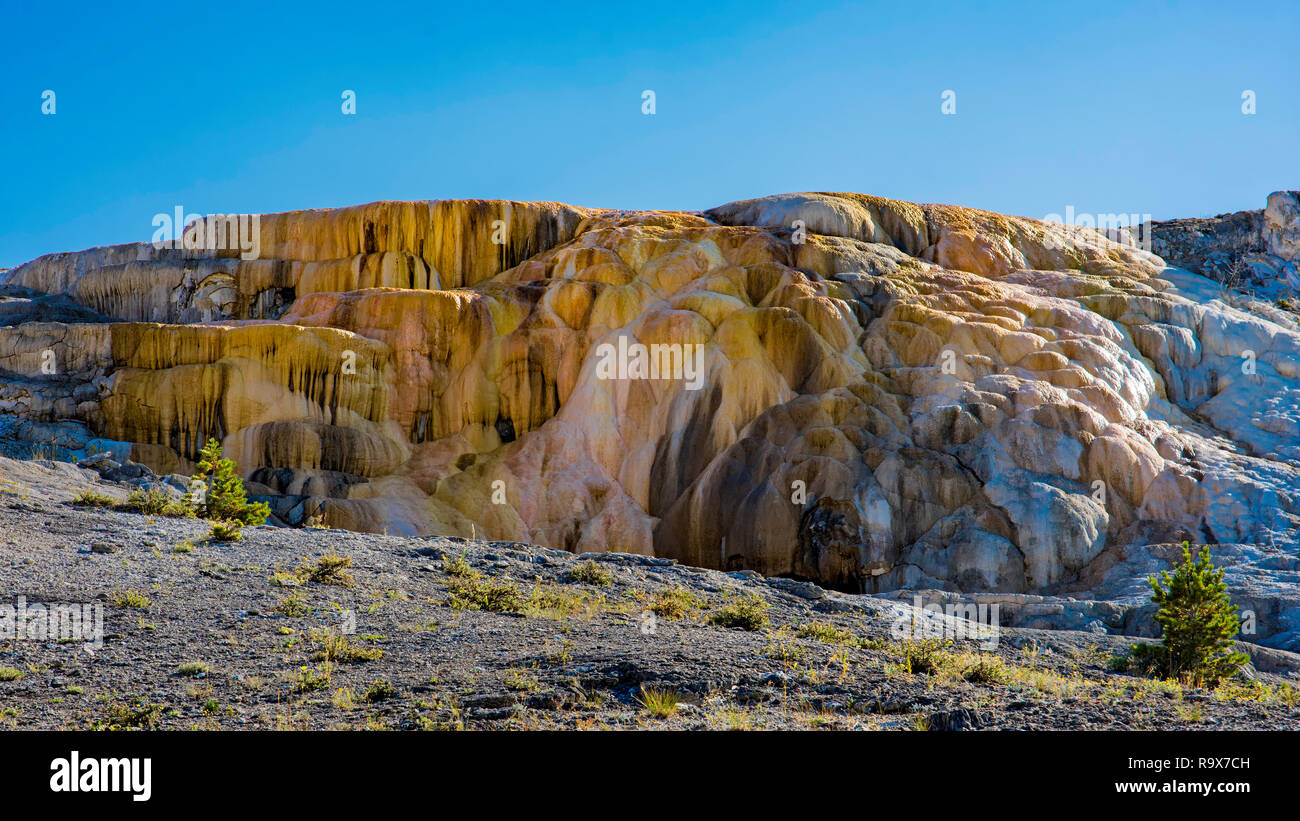 Colorful formations of Cleopatra Terrace at Mammoth Hot Springs Yellowstone National Park Wyoming USA Stock Photo