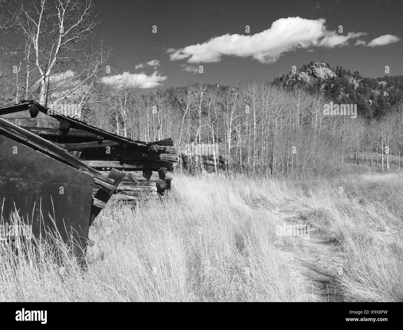 John Frazer Barn in Golden Gate State Park Colorado in Black and White Stock Photo