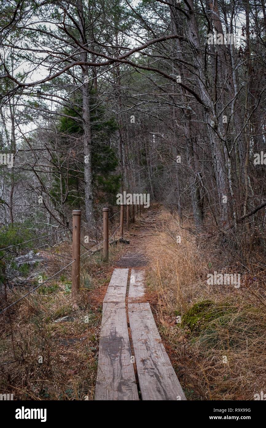 Hiking across some planks along the Fiery Gizzard Trail near Foster