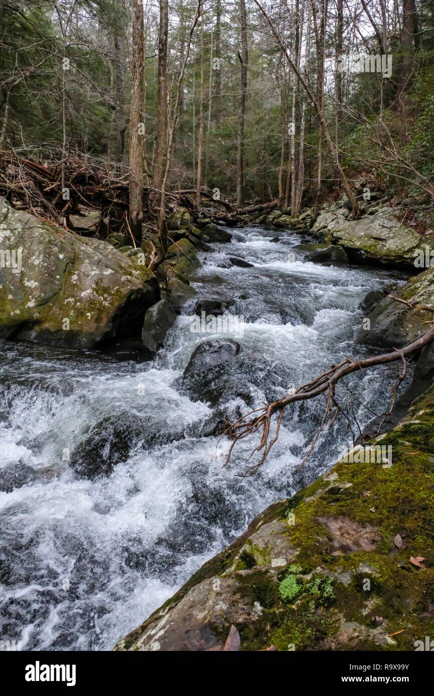 Whitewater of the Little Gizzard Creek by the Fiery Gizzard Trail near 