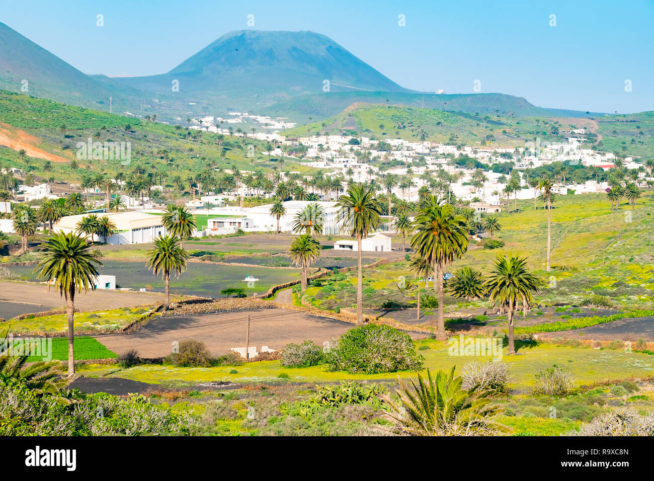 Valley of the thousand palms lanzarote hires stock photography and
