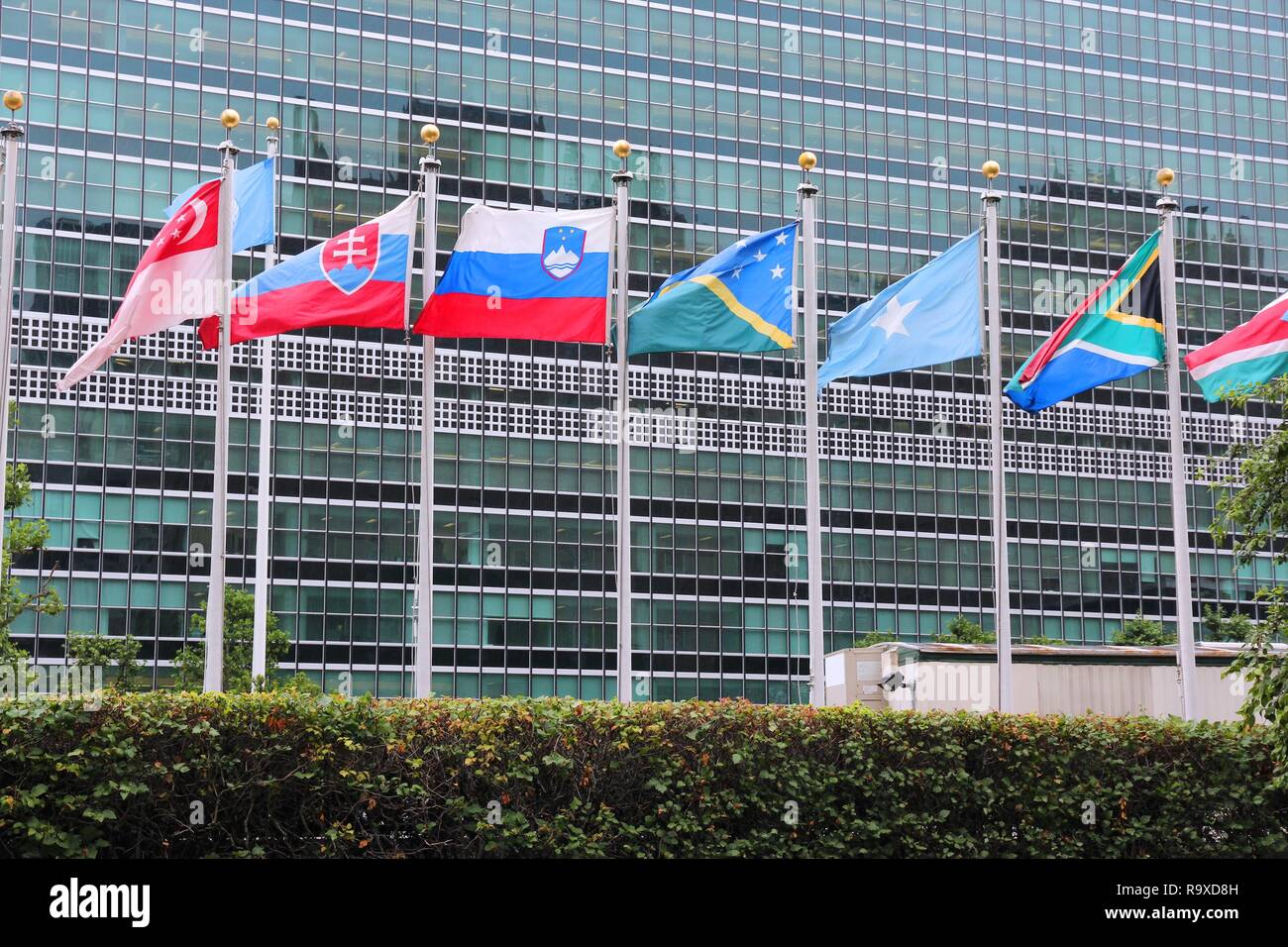 NEW YORK, USA - JULY 1, 2013: Flags in front of United Nations building ...