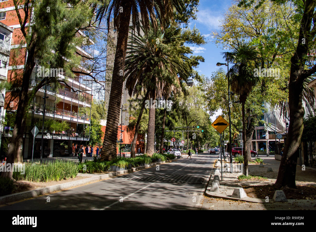 Mexico City - Polanco Street Editorial Photo - Image of blue, stores:  137795601