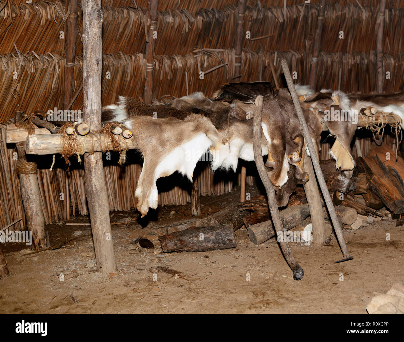 A way of life that is not easy for some. There are people that depend on nature to survive each day. Stock Photo