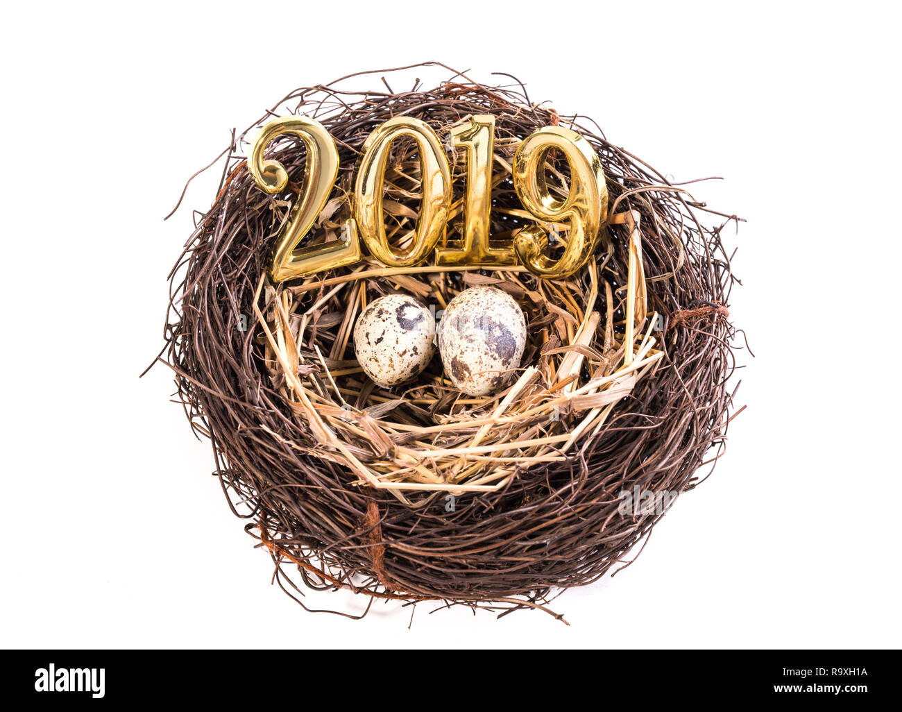 2019 nest with money isolated on white background Stock Photo