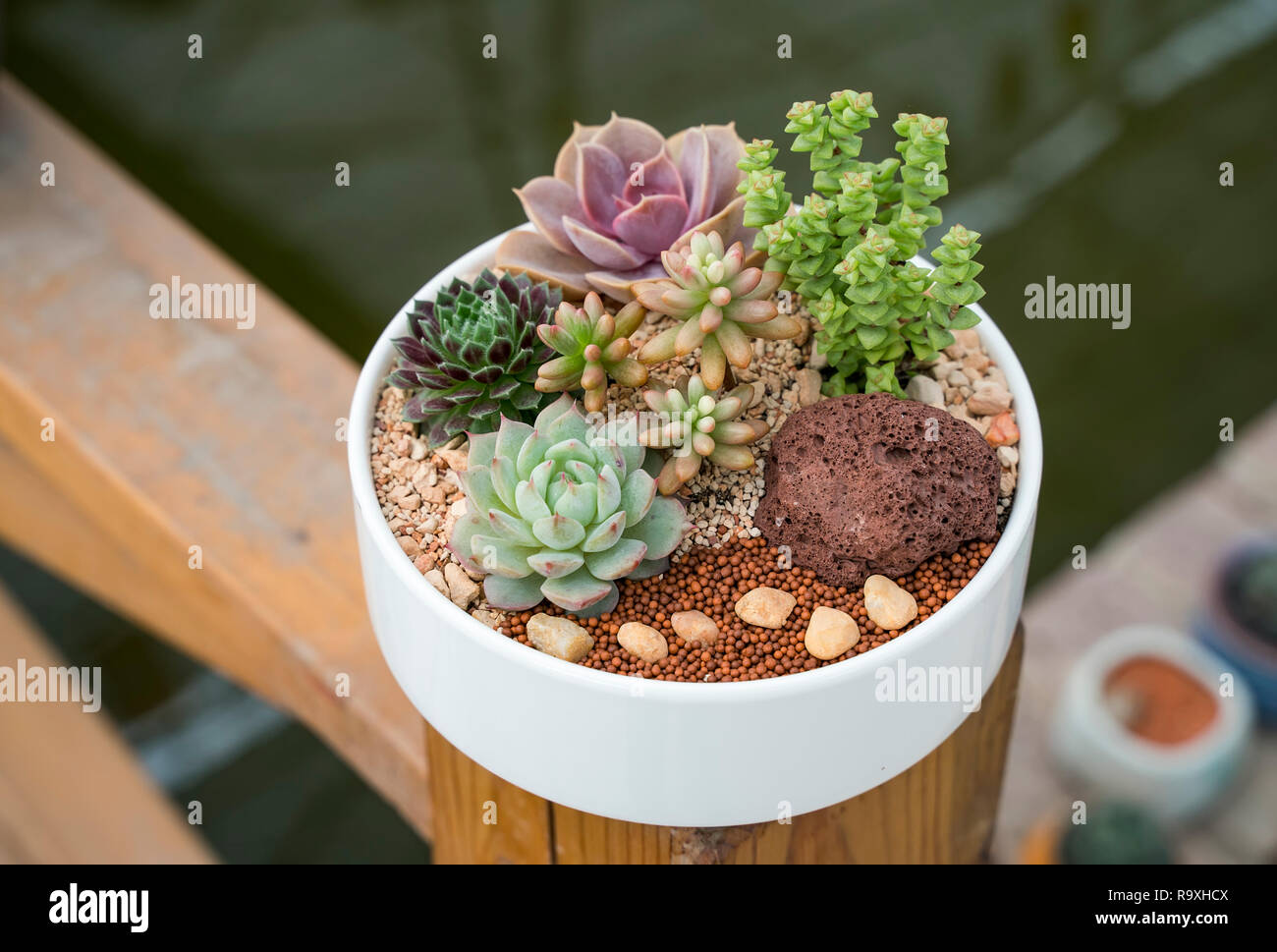 small plant pots indoor Mini 2-Inch Wood Indoor Plant Stand & Pot main image 1