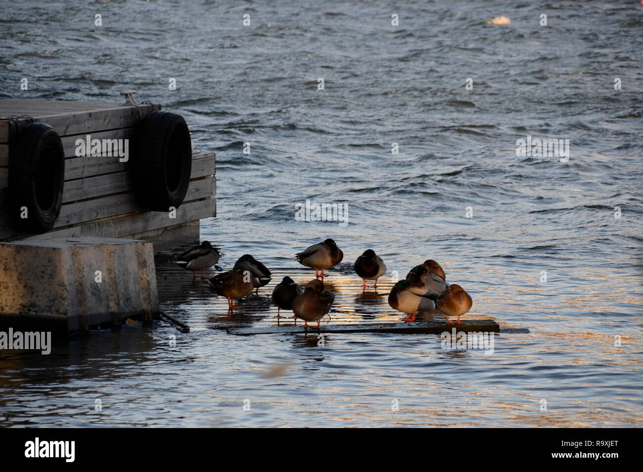 Helsinki Stock Photo