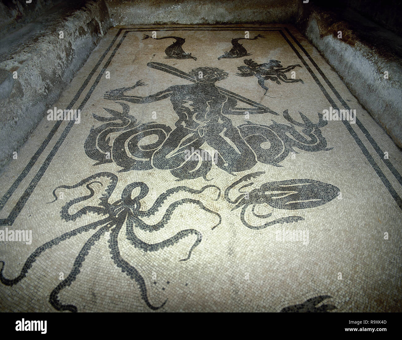Italy. Herculaneum. Mosaic floor in Apodyterium (female locker room). Triton surrounded by  octopuses, dolphins and brunettes. Women's Thermal Baths. 1st century BC. Campania. Stock Photo