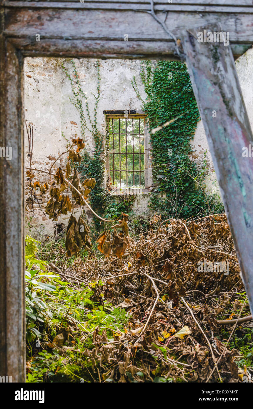 Broken door and old abandoned house with plants growing inside, France, Brittany Stock Photo