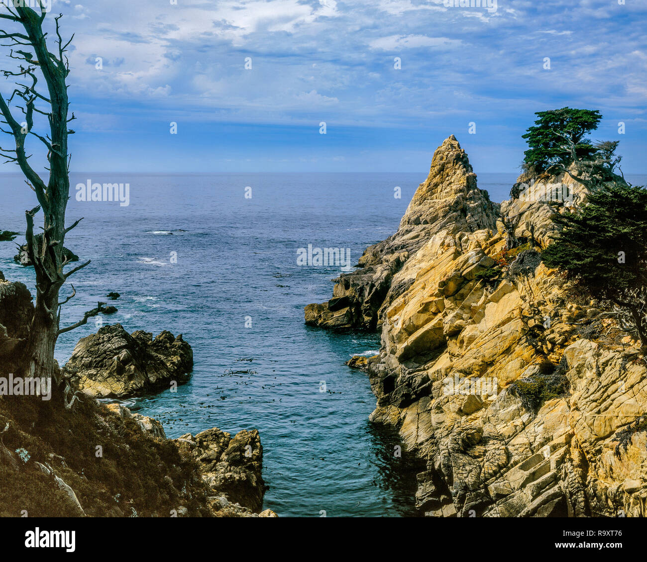 The Pinnacle, Point Lobos State Reserve, Big Sur, Monterey County, California Stock Photo