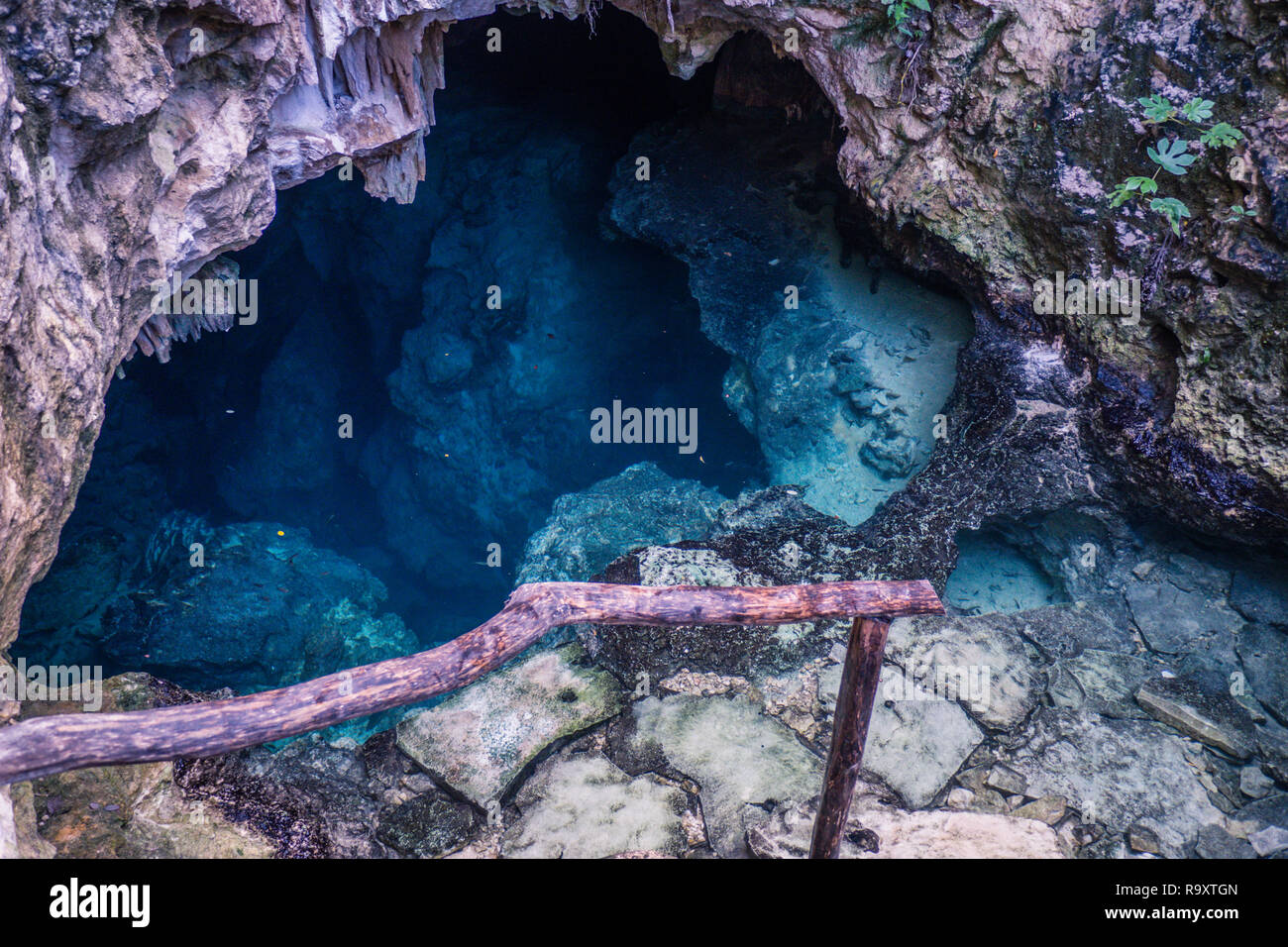 Casa Tortuga Cenote, Tulum, Mexico Stock Photo Alamy