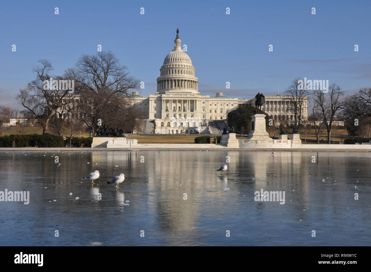 View of Frozen Reflecting Pool in front of US Capitol in Washington DC ...