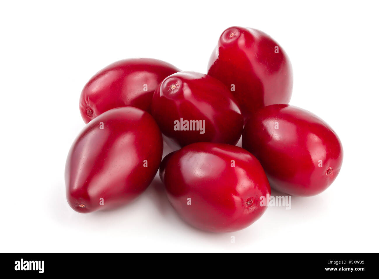 Red berries of cornel or dogwood isolated on white background. Stock Photo