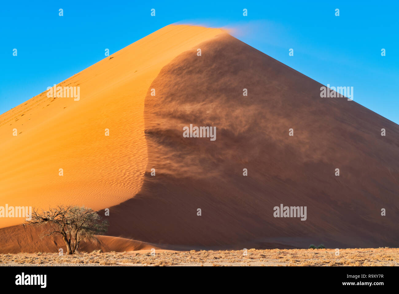 Blowing sand hi-res stock photography and images - Alamy