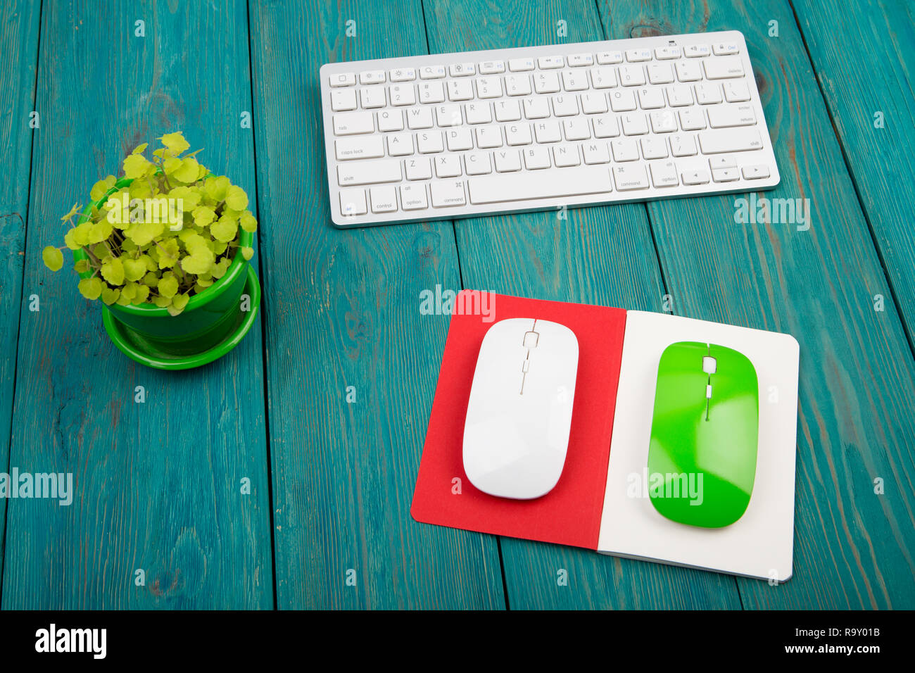 Wireless slim white keyboard, green and white mouses, notepad, flower on blue wooden background Stock Photo