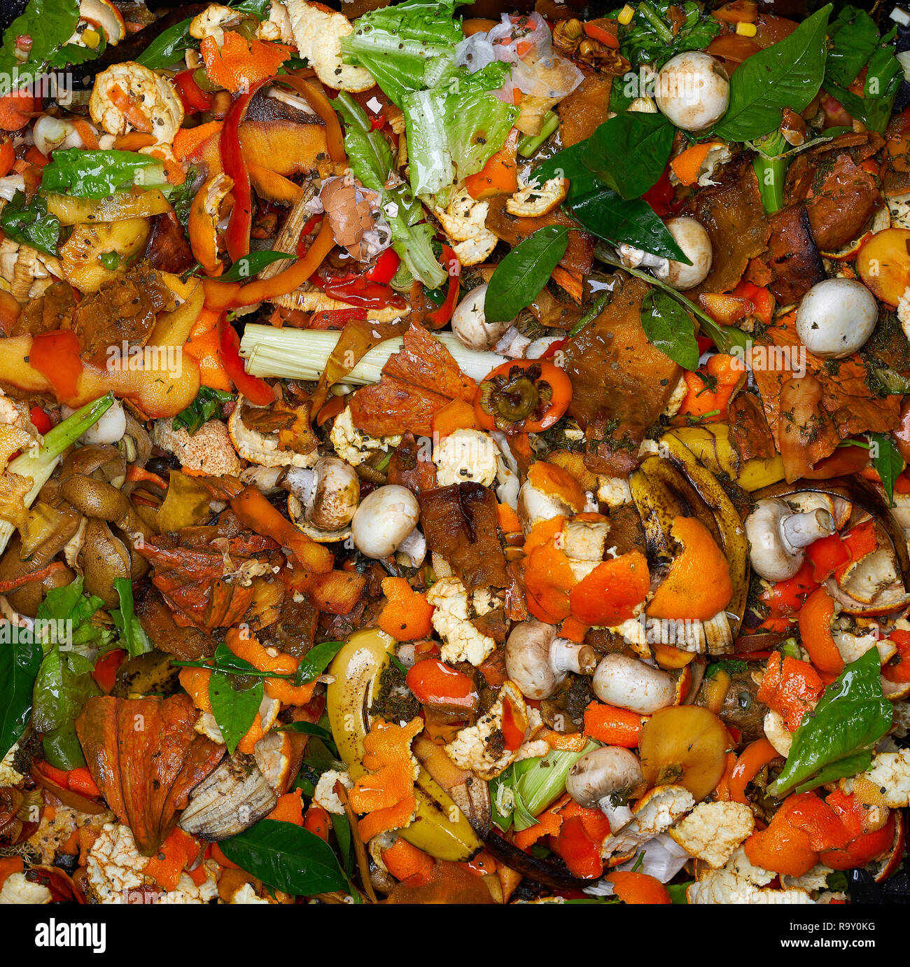 Compost bin content vegetables and fruits recycle in garden Stock Photo Alamy