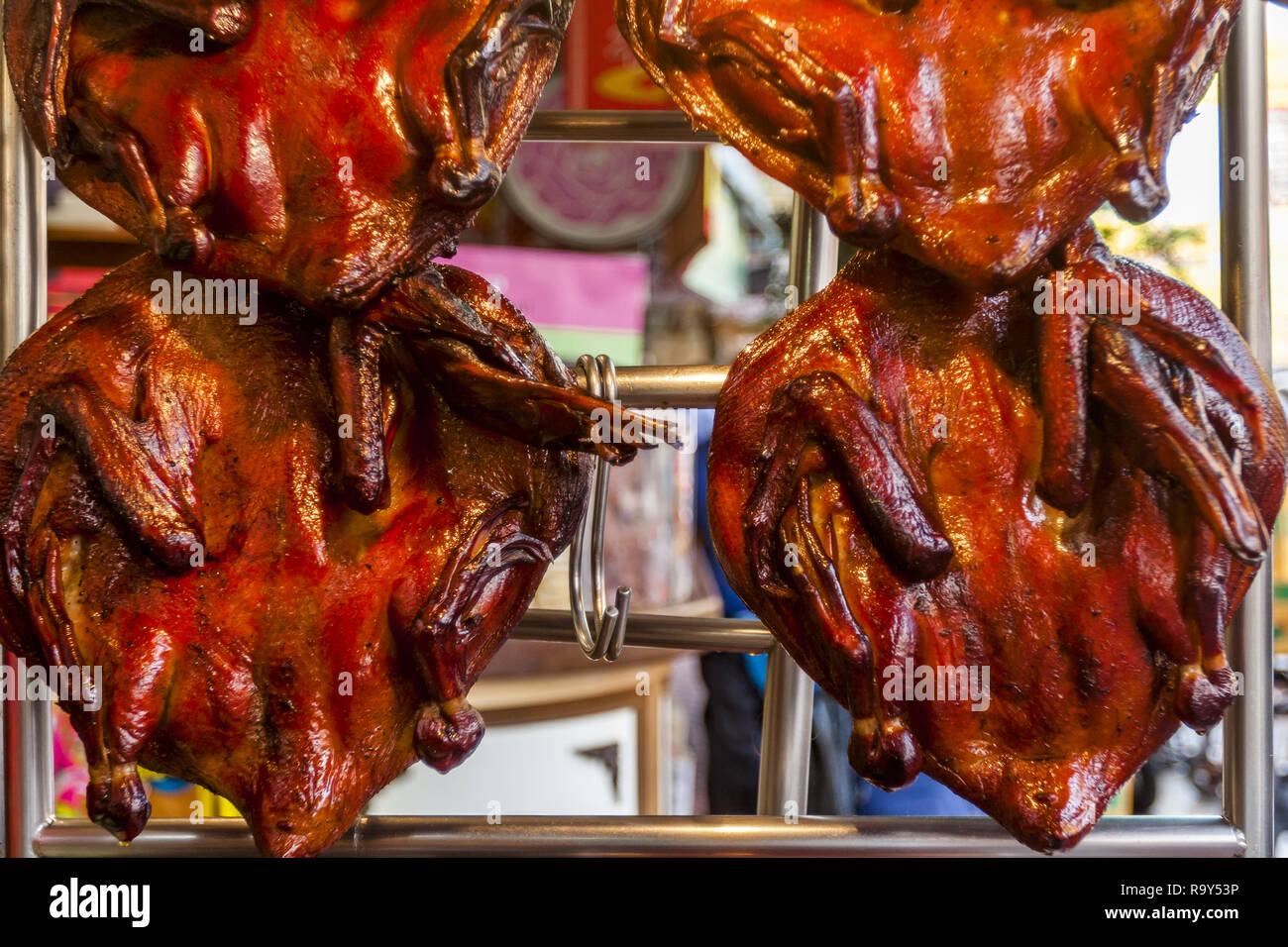 Hanging duck in the window in Bangkok’s Chinatown. Stock Photo