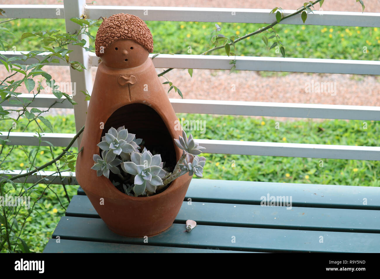 Suculenta plant hi-res stock photography and images - Alamy