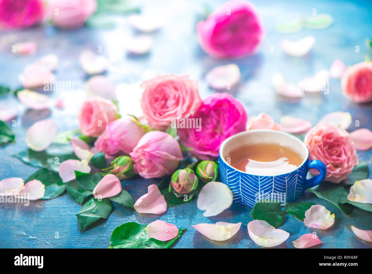 Rose tea photography with ceramic teacups and flower petals on a wet light background with copy space. Seasonal header with drink Stock Photo