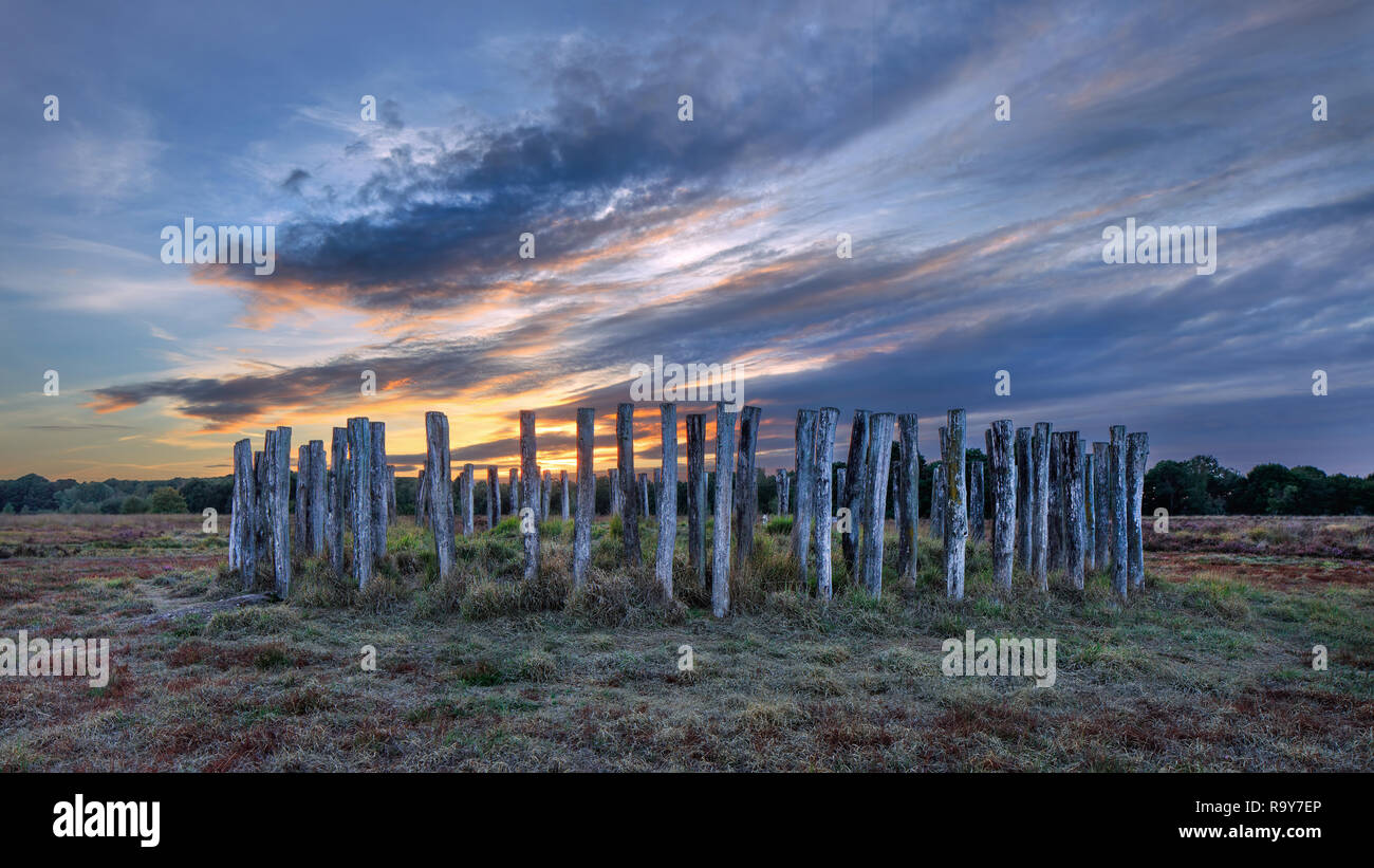 Tomb from the early bronze age on Regte Heide heathland at sunset, the