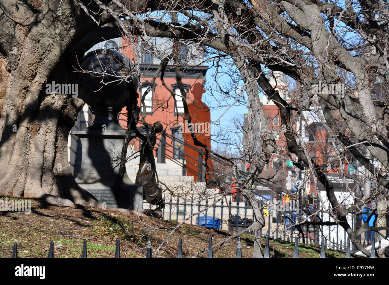 Old Tree outside National Portrait Gallery Washington DC Stock Photo