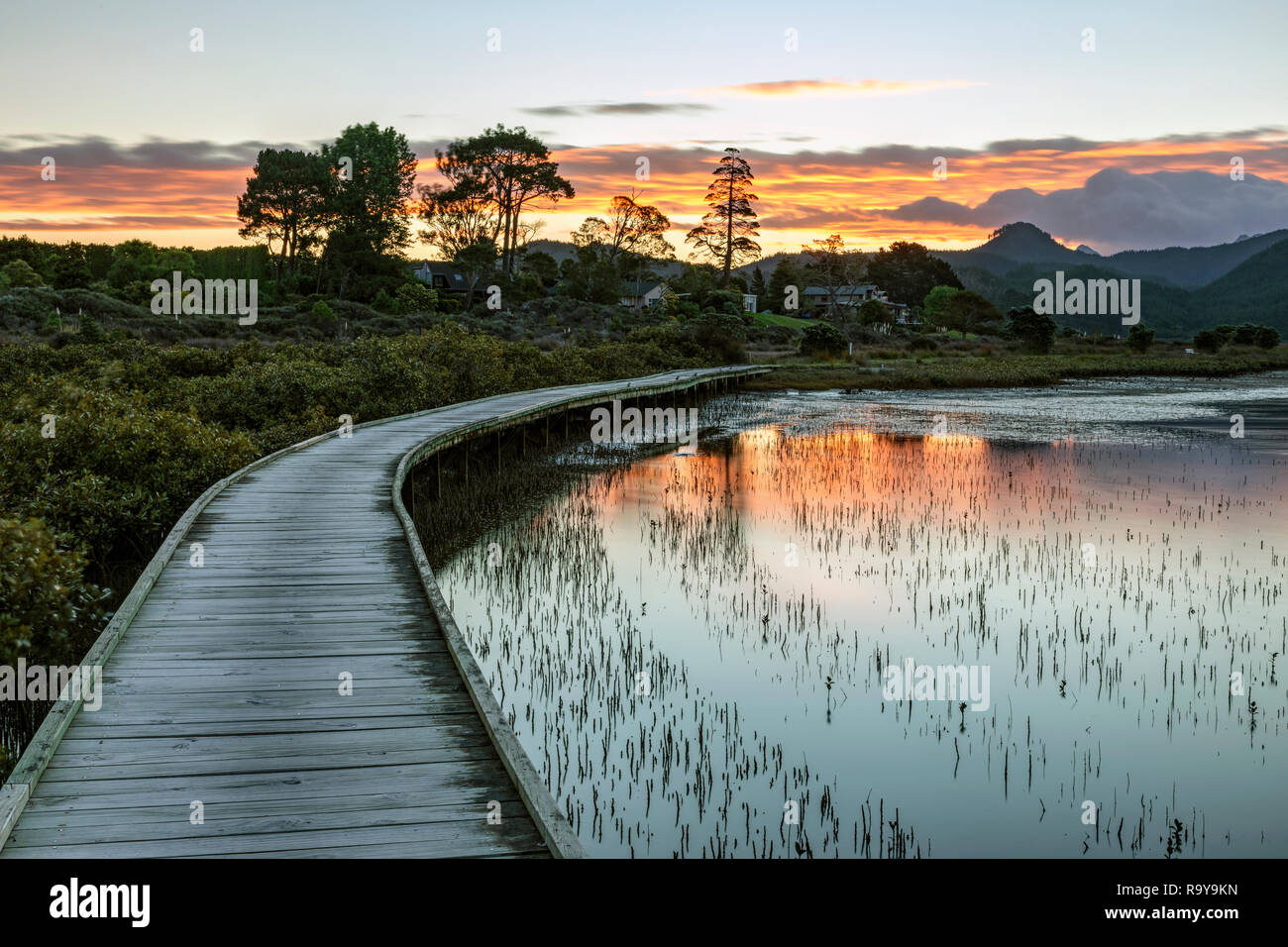 Pauanui, Coromandel Peninsula, Waikato, North Island, New Zealand Stock Photo
