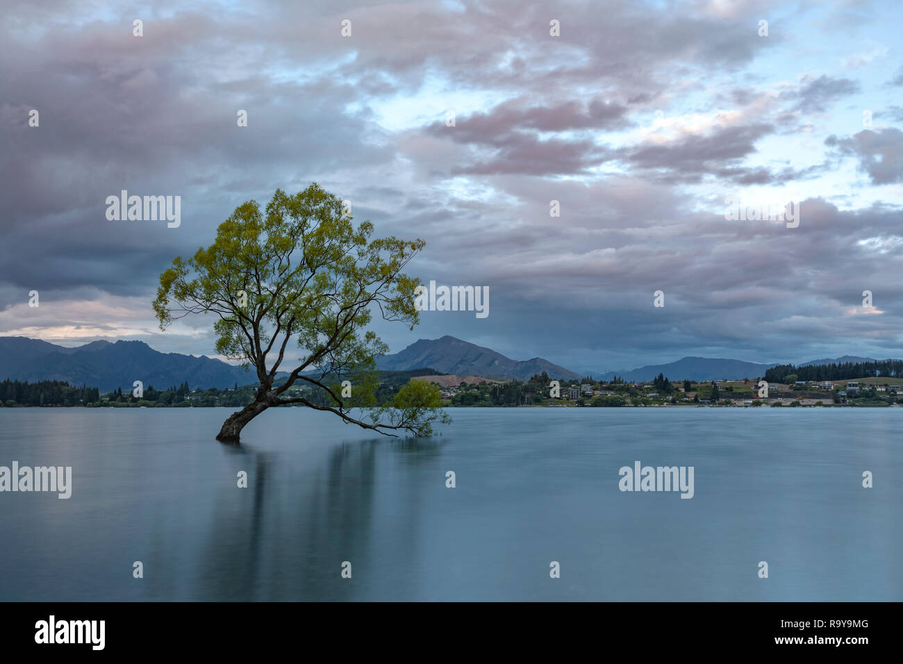 Wanaka, Otago, Queenstown Lakes District, South Island, New Zealand Stock Photo