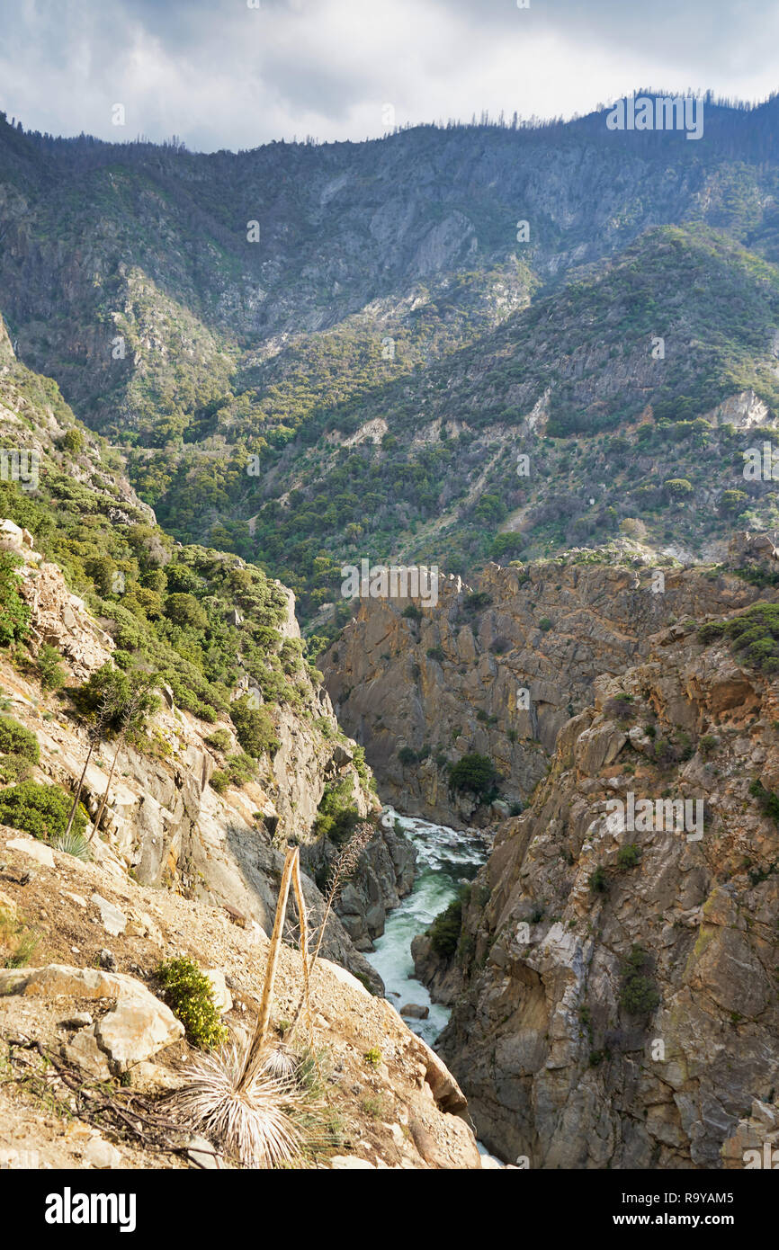 River in the gorge, Sequoia National Park, USA Stock Photo - Alamy