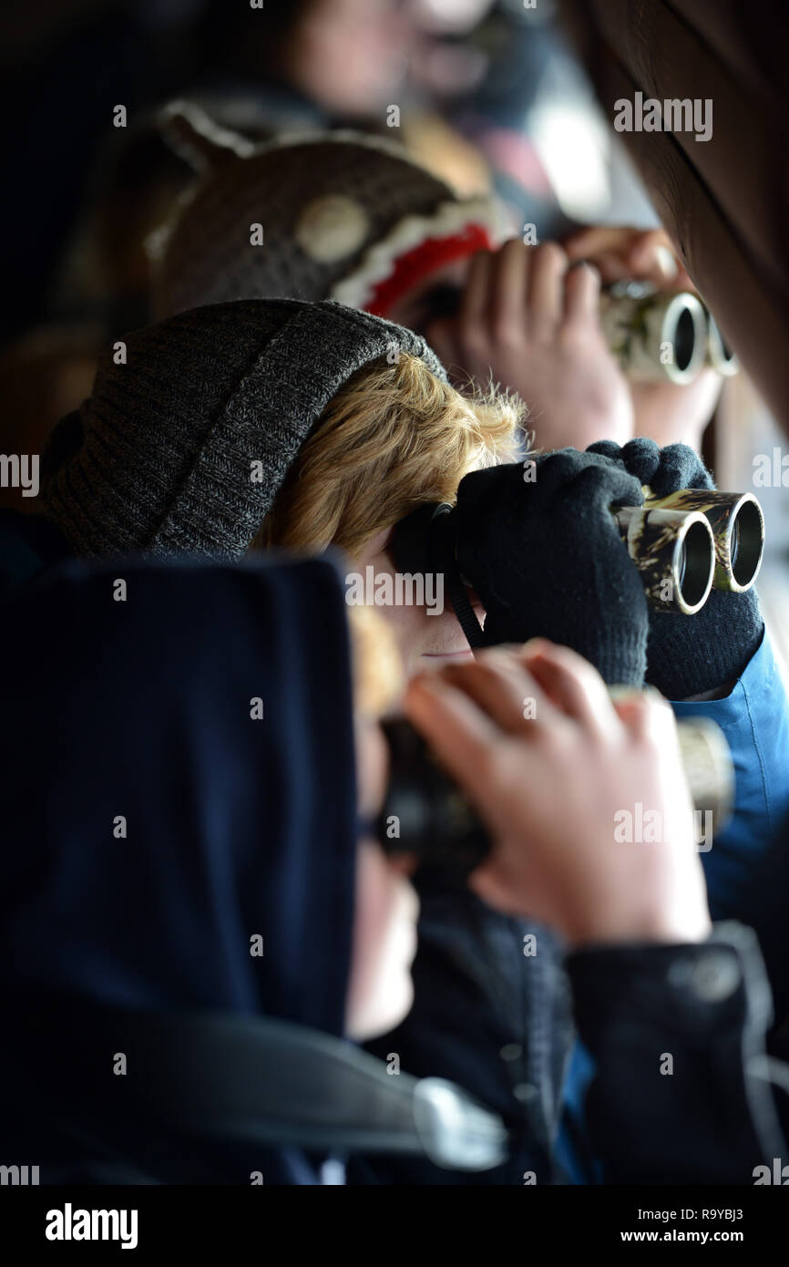 Young people bird watching in Rye Harbour nature reserve, East Sussex, UK Stock Photo