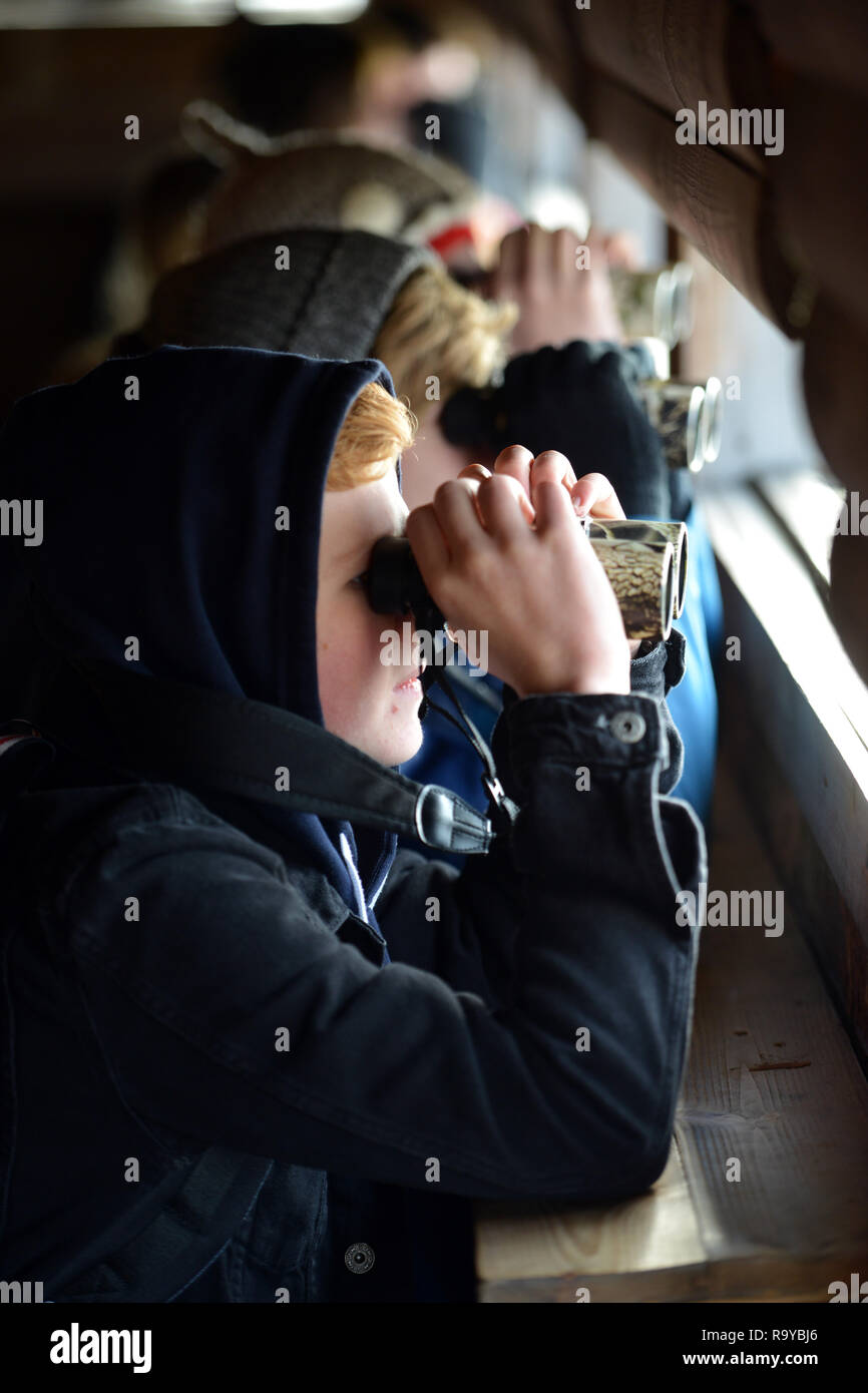 Young people bird watching in Rye Harbour nature reserve, East Sussex, UK Stock Photo